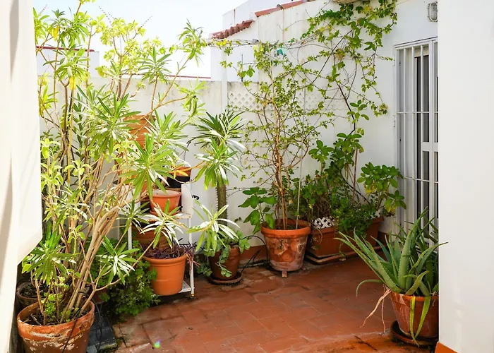 Alohamundi San Basilio Ii
